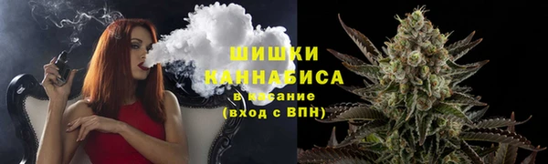 ПСИЛОЦИБИНОВЫЕ ГРИБЫ Ладушкин