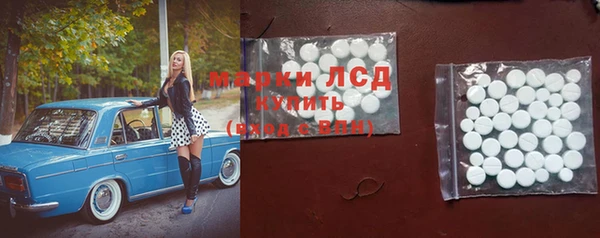 ПСИЛОЦИБИНОВЫЕ ГРИБЫ Ладушкин